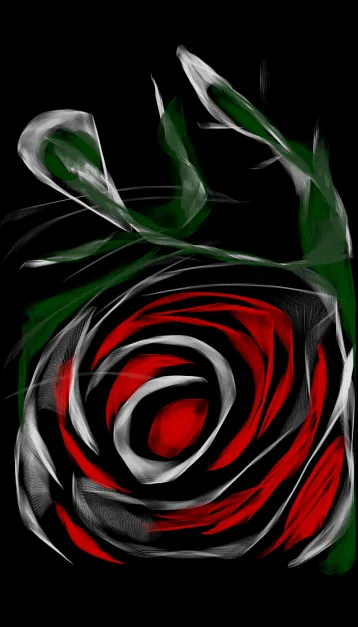 Simple red rose